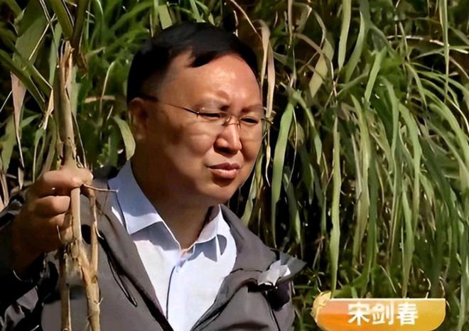 后进山种葛根二十年后靠葛根年入上亿元pg麻将胡了1998年江西一男子破产