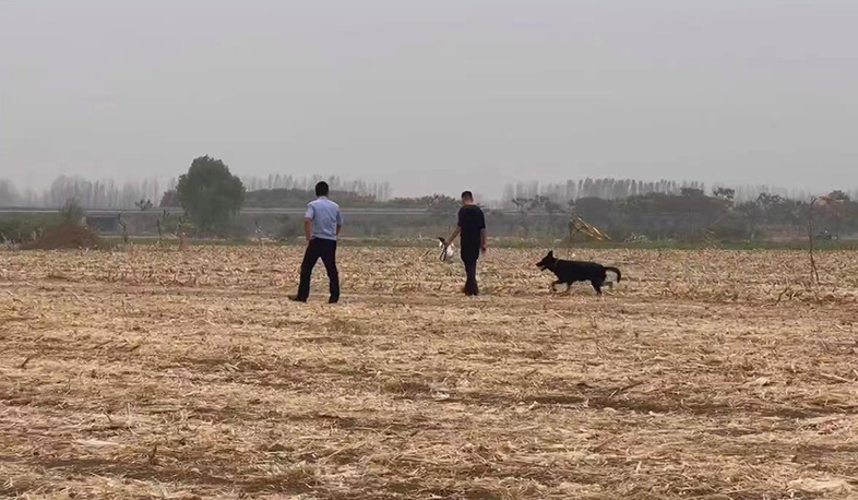 失踪上百警民彻夜搜寻36小时找回麻将胡了模拟器一岁男童玉米地里(图3)