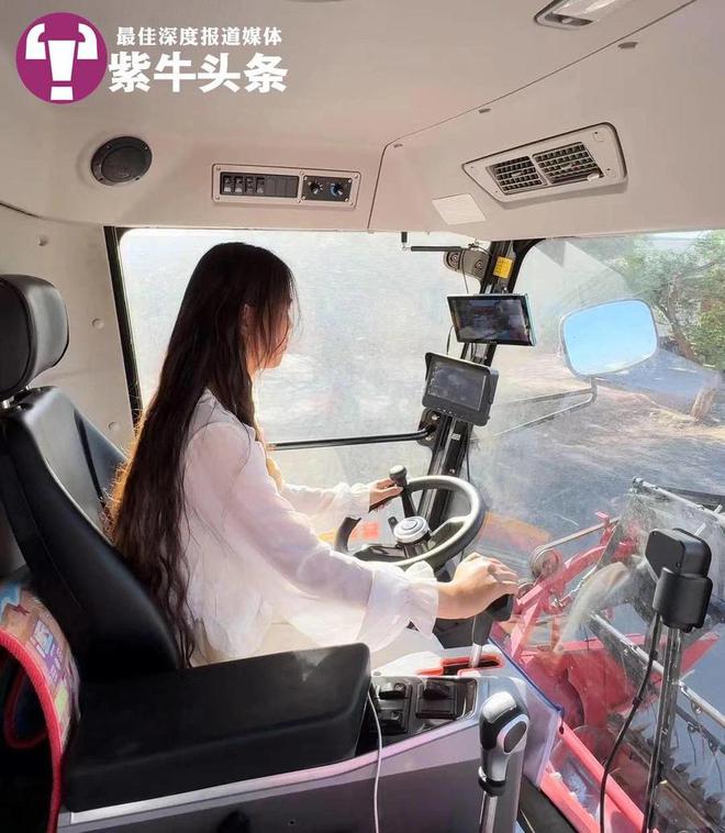 南闯北免费为老人收割玉米被画成漫画走红麻将胡了电子游戏女农机手开着收割机走